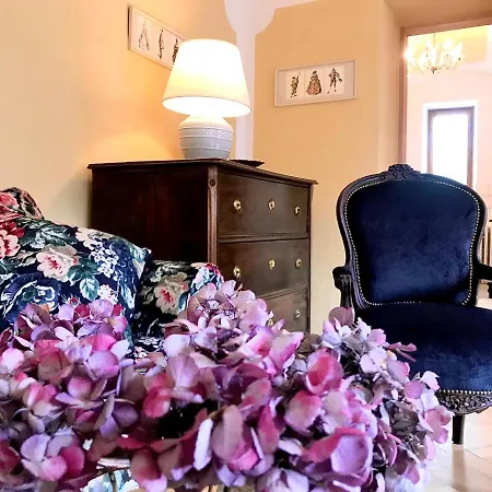 Boutique Felicino Udoli